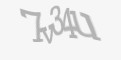 Защитный код